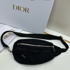 Dior Waist & Chest Packs